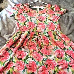 LuLaRoe Flower Amelia Dress 2X
